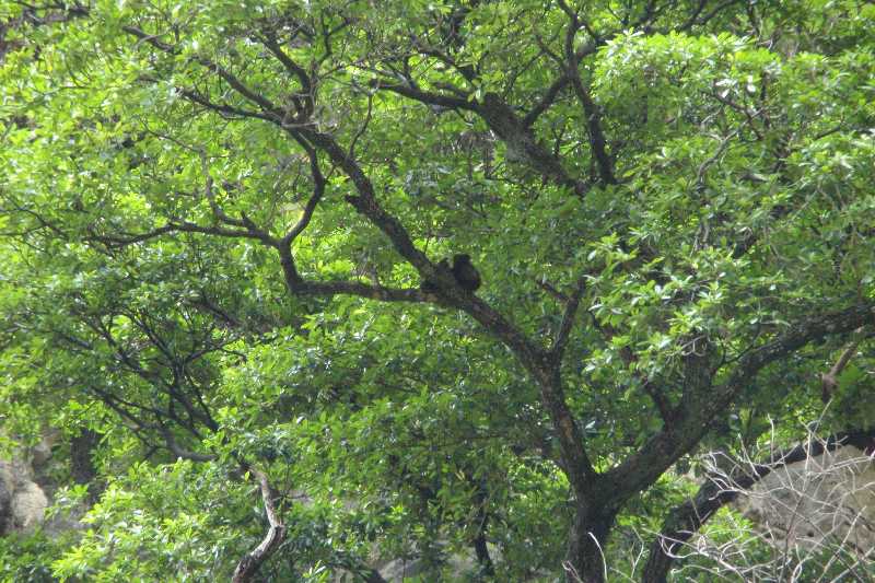 Mexico & Guatemala 2010 - 0352